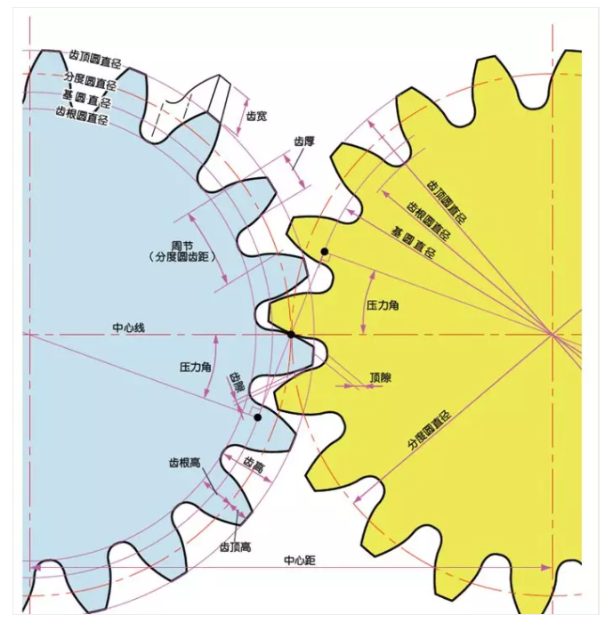 齿轮各部位的名称 